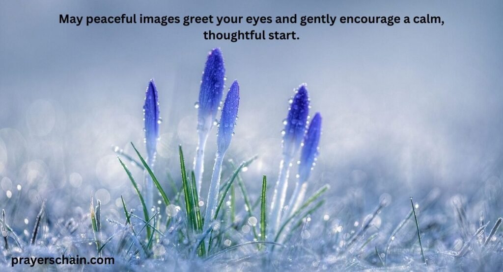 Morning Blessings and Images