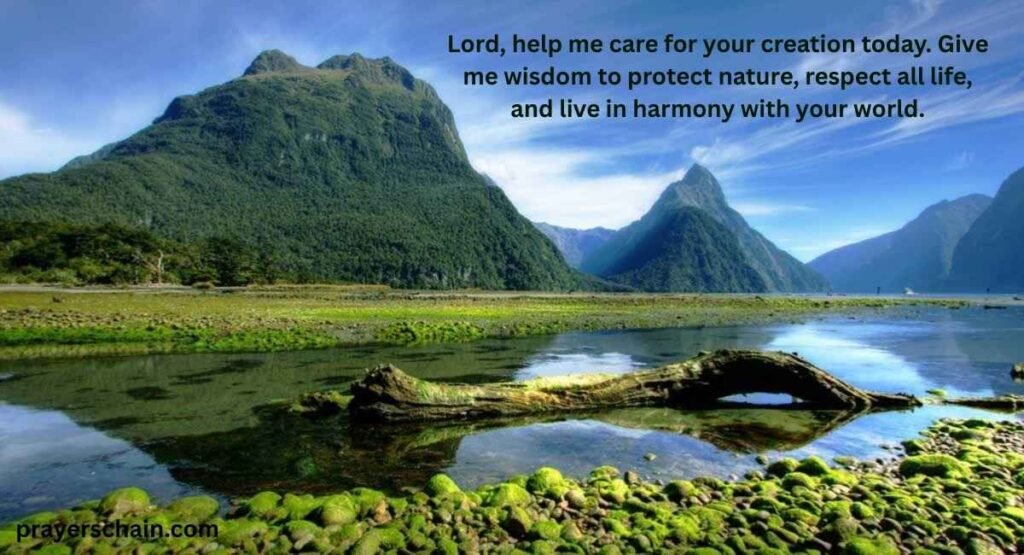 Tuesday Morning Prayer for the Environment