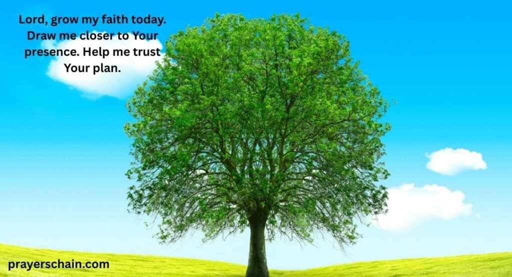 Tuesday Prayer for Spiritual Growth