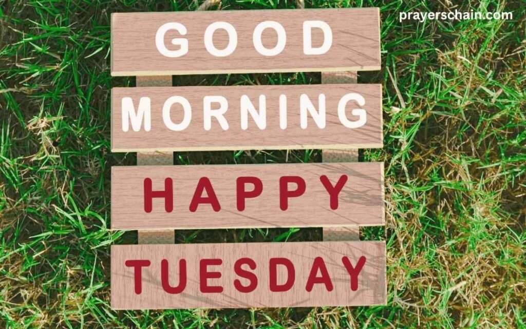 Beautiful Good Morning Tuesday Blessings