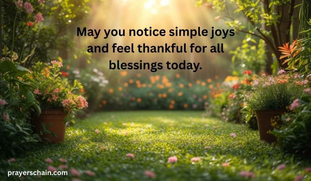Positive & Thankful Wednesday Blessings
