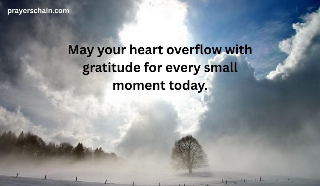 Thankful Tuesday Blessings