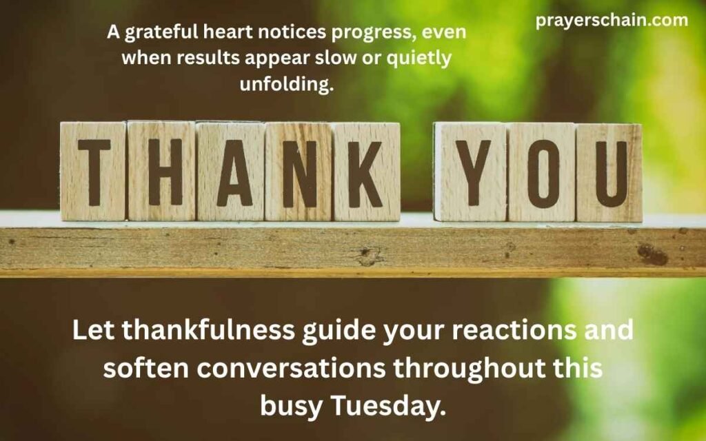 Thankful Tuesday Blessings