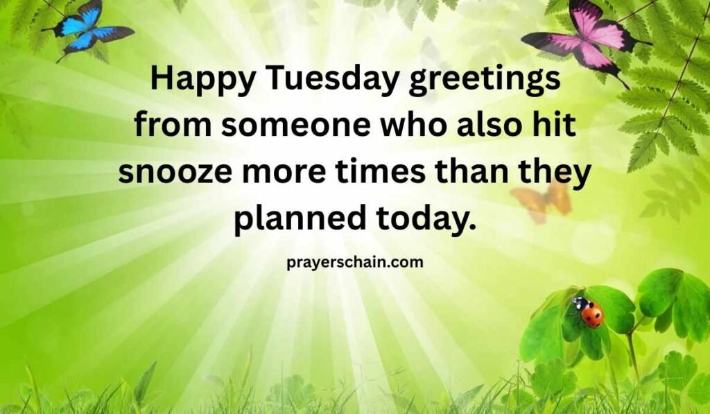 Funny Tuesday Morning Greetings