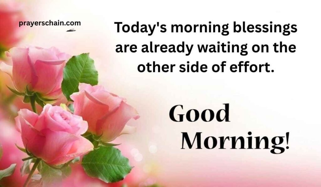 Good Morning Tuesday Messages