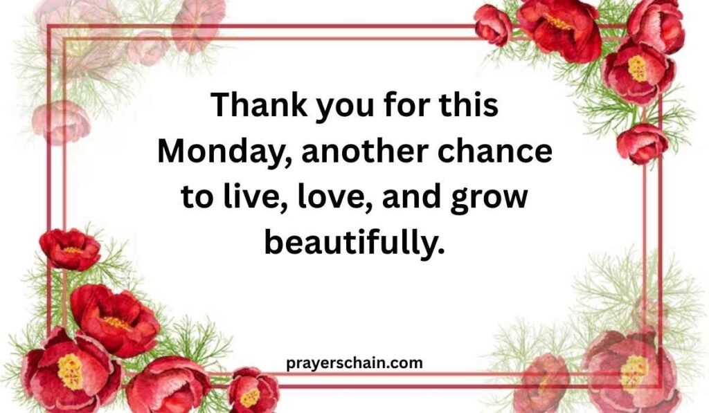 Thankful Monday Blessing