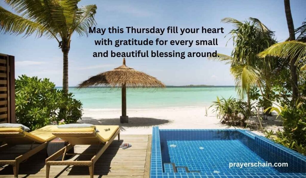 Thankful Thursday Blessings