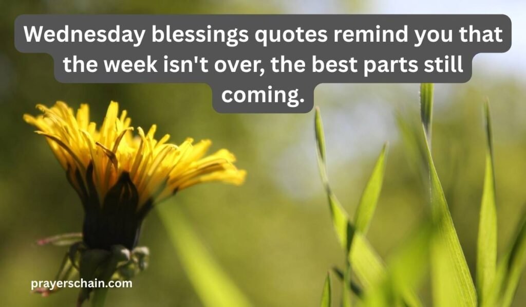 Wednesday Blessings Quotes