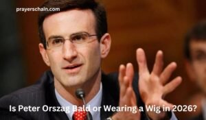 Peter Orszag Bald